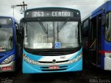 Empresa de Ônibus Guarulhos 1585 na cidade de Guarulhos, São Paulo, Brasil, por Atilio Torres. Número da foto: #:id.