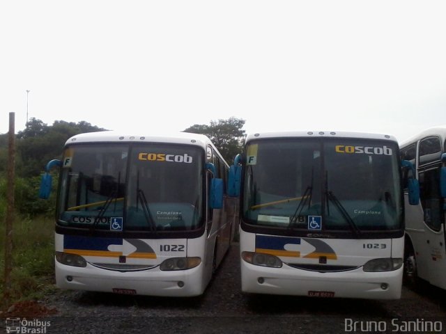 Cos Cob Agência de Viagens e Turismo 1023 na cidade de Cotia, São Paulo, Brasil, por Bruno Santino. Número da foto: #1528746.