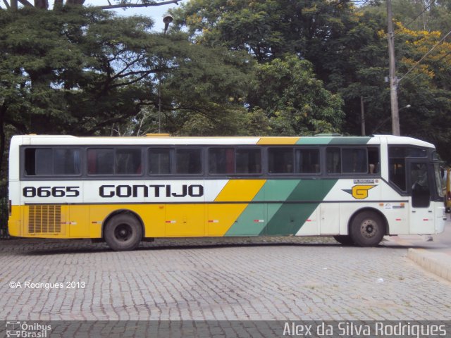 Empresa Gontijo de Transportes 8665 na cidade de Belo Horizonte, Minas Gerais, Brasil, por Alex da Silva Rodrigues. Número da foto: #1538119.