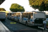 Metrobus 086 na cidade de Goiânia, Goiás, Brasil, por Carlos Júnior. Número da foto: #1544474.