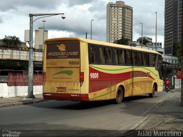 Viação Pássaro Livre 9800 na cidade de Belo Horizonte, Minas Gerais, Brasil, por Adão Raimundo Marcelino. ID da foto: 1546455.