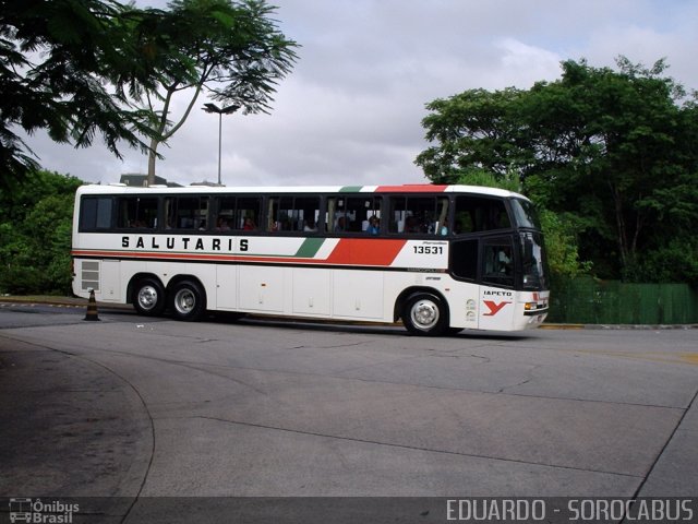 Viação Salutaris e Turismo 13531 na cidade de São Paulo, São Paulo, Brasil, por EDUARDO - SOROCABUS. Número da foto: #1548138.