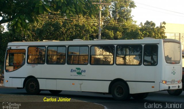 Embrapa 2310 na cidade de Goiânia, Goiás, Brasil, por Carlos Júnior. Número da foto: #1547841.