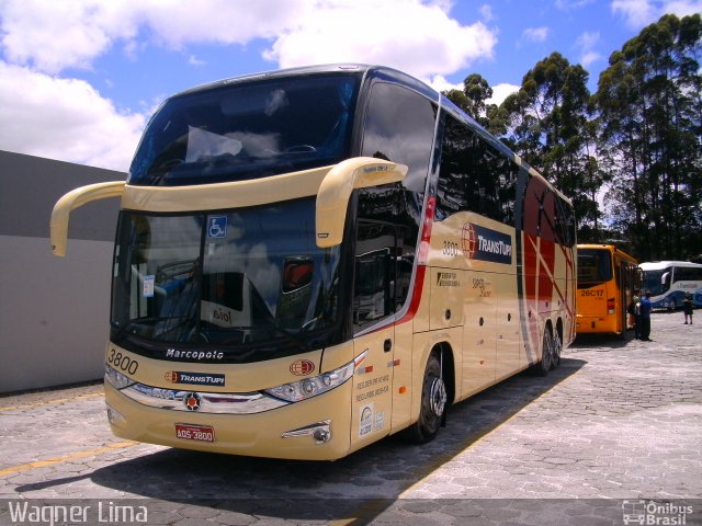 TransTupi Turismo e Fretamento 3800 na cidade de Curitiba, Paraná, Brasil, por Wagner Lima. Número da foto: #1549869.