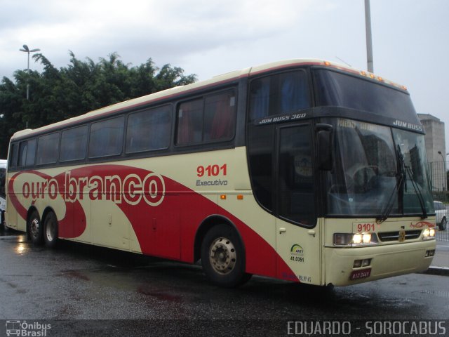 Viação Ouro Branco 9101 na cidade de São Paulo, São Paulo, Brasil, por EDUARDO - SOROCABUS. Número da foto: #1554730.