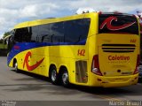 Coletivo Transportes 142 na cidade de Caxias do Sul, Rio Grande do Sul, Brasil, por Marcio  Bruxel. Número da foto: #1559134.