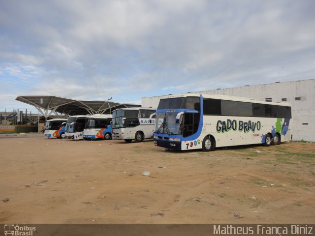 Gado Bravo Turismo 7908 na cidade de Juazeiro do Norte, Ceará, Brasil, por Matheus França Diniz. Número da foto: #1560205.