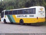 Empresa Gontijo de Transportes 3110 na cidade de Belo Horizonte, Minas Gerais, Brasil, por Alex da Silva Rodrigues. Número da foto: #1563552.