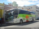 Transbrisul - Transportes Brisas do Sul 260 na cidade de Pelotas, Rio Grande do Sul, Brasil, por Felipe Alves. Número da foto: #1564059.