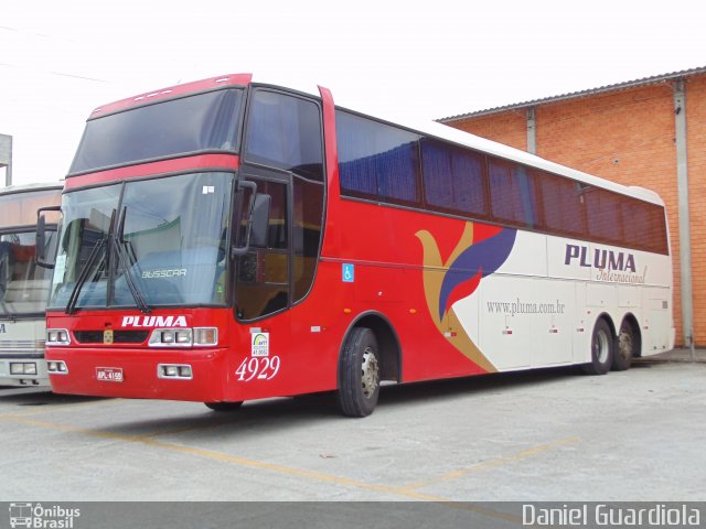 Pluma Conforto e Turismo 4929 na cidade de Biguaçu, Santa Catarina, Brasil, por Daniel Guardiola. Número da foto: #1566000.