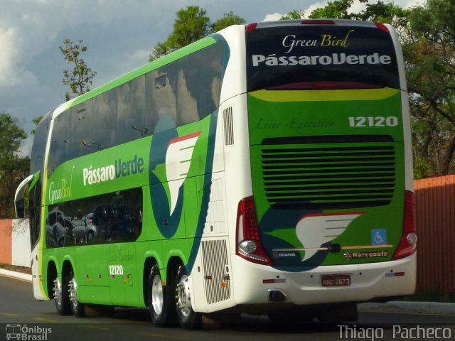 Pássaro Verde 12120 na cidade de Brasília, Distrito Federal, Brasil, por Thiago  Pacheco. ID da foto: 1565420.