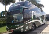Natal Locadora Viagens e Turismo 180 na cidade de Arapiraca, Alagoas, Brasil, por Melqui  Macedo. Número da foto: #:id.