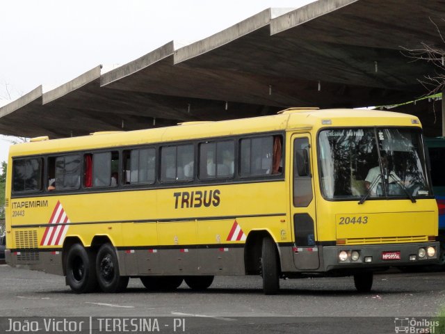 Viação Itapemirim 20443 na cidade de Teresina, Piauí, Brasil, por João Victor. ID da foto: 1568372.