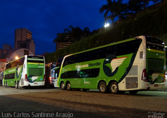 Pássaro Verde 12122 na cidade de Belo Horizonte, Minas Gerais, Brasil, por Luís Carlos Santinne Araújo. Número da foto: #1569085.