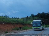 Pássaro Verde 11100 na cidade de Ponte Nova, Minas Gerais, Brasil, por Adenilson Godoy. Número da foto: #:id.