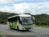 Pássaro Verde 11116 na cidade de Sabará, Minas Gerais, Brasil, por Felipe Gonzalez. Número da foto: #1573957.