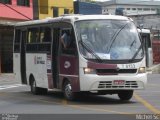 Transwolff Transportes e Turismo 7 8133 na cidade de São Paulo, São Paulo, Brasil, por Michel Sc. Número da foto: #1575707.