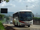 Rouxinol 094 na cidade de Belo Horizonte, Minas Gerais, Brasil, por Adão Raimundo Marcelino. Número da foto: #1513669.