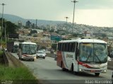 Rouxinol 088 na cidade de Belo Horizonte, Minas Gerais, Brasil, por Adão Raimundo Marcelino. Número da foto: #:id.