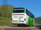 Pássaro Verde 26006 na cidade de Ouro Preto, Minas Gerais, Brasil, por Lucas Azevedo. Número da foto: #:id.