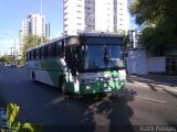 AP Locação Turismo e Transporte Escolar 9157 na cidade de Recife, Pernambuco, Brasil, por Isack Passos. Número da foto: #1522160.