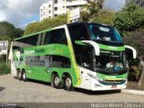 Pássaro Verde 12121 na cidade de Viçosa, Minas Gerais, Brasil, por Hudson Neves. Número da foto: #2103896.