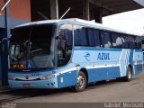Expresso Azul 264 na cidade de Porto Alegre, Rio Grande do Sul, Brasil, por Gabriel  Morosoli. Número da foto: #:id.