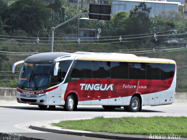 Transportadora Tinguá RJ 156.236 na cidade de Queimados, Rio de Janeiro, Brasil, por André Vitor  Silva dos Santos. Número da foto: #2107457.