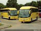 Viação Itapemirim 60597 na cidade de Curitiba, Paraná, Brasil, por Nilton Félix da Silva. Número da foto: #2109418.