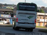 Pássaro Verde 28029 na cidade de Barbacena, Minas Gerais, Brasil, por Davi Cristiano Carvalho Martins dos Santos. Número da foto: #:id.