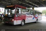 Benfica Diadema 11049 na cidade de Diadema, São Paulo, Brasil, por Ricardo Luiz. Número da foto: #2112988.