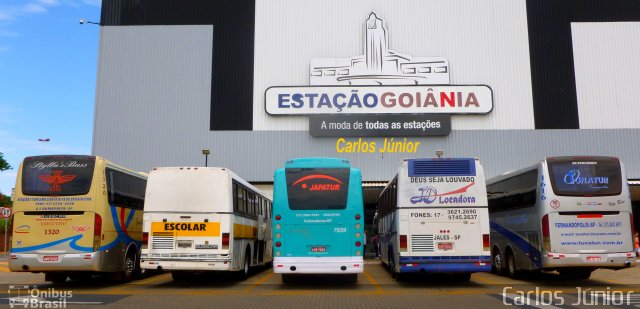 Japatur 7659 na cidade de Goiânia, Goiás, Brasil, por Carlos Júnior. Número da foto: #2118555.