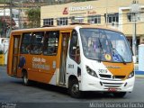 Cidade das Hortênsias 3019 na cidade de Petrópolis, Rio de Janeiro, Brasil, por Michel Soares da Rocha. Número da foto: #:id.