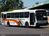 Empresa de Transportes Andorinha 5042 na cidade de Presidente Prudente, São Paulo, Brasil, por Diego Leão. Número da foto: #2122806.