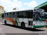 Empresa de Transportes Andorinha 5061 na cidade de Presidente Prudente, São Paulo, Brasil, por Diego Leão. Número da foto: #2122803.