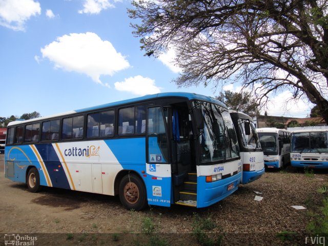 Cattani Sul Transportes e Turismo 41544 na cidade de Pato Branco, Paraná, Brasil, por Rodrigo Augusto  Vignaga. Número da foto: #2125339.