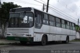 Ônibus Particulares BTS 9185 na cidade de Guarujá, São Paulo, Brasil, por Ricardo Luiz. ID da foto: :id.