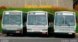 Metrobus 803 na cidade de Goiânia, Goiás, Brasil, por Carlos Júnior. Número da foto: #2128323.