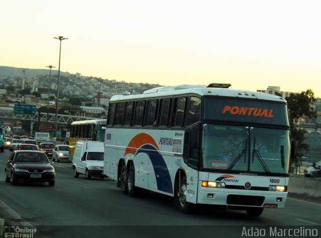 Pontual Turismo 1800 na cidade de Belo Horizonte, Minas Gerais, Brasil, por Adão Raimundo Marcelino. ID da foto: 2133281.