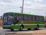 Coração de Mãe 8977 na cidade de Teresina, Piauí, Brasil, por Pedro Alexandrino. Número da foto: #:id.