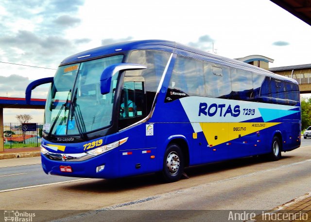 RodeRotas - Rotas de Viação do Triângulo 72313 na cidade de Campinas, São Paulo, Brasil, por André  Inocêncio. Número da foto: #2136713.