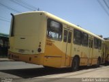 Via Oeste < Autobus Transportes 01661 na cidade de Belo Horizonte, Minas Gerais, Brasil, por Gabriel Sullivan. Número da foto: #2139037.