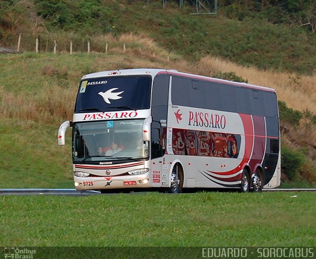 Pássaro Prata Transportadora Turística 9725 na cidade de Sorocaba, São Paulo, Brasil, por EDUARDO - SOROCABUS. ID da foto: 2141061.