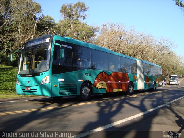 Parque Nacional do Iguaçu COTIA na cidade de Foz do Iguaçu, Paraná, Brasil, por Anderson da Silva Ramos. Número da foto: #2087811.