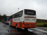 Transportadora Turística Petitto 2480 na cidade de São Carlos, São Paulo, Brasil, por Ruan Roque. Número da foto: #2091410.