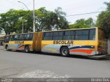 Prefeitura Municipal de Duartina 2442 na cidade de Duartina, São Paulo, Brasil, por Brollo Bus. Número da foto: #2094072.