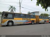 Prefeitura Municipal de Duartina 2442 na cidade de Duartina, São Paulo, Brasil, por Brollo Bus. Número da foto: #2094095.