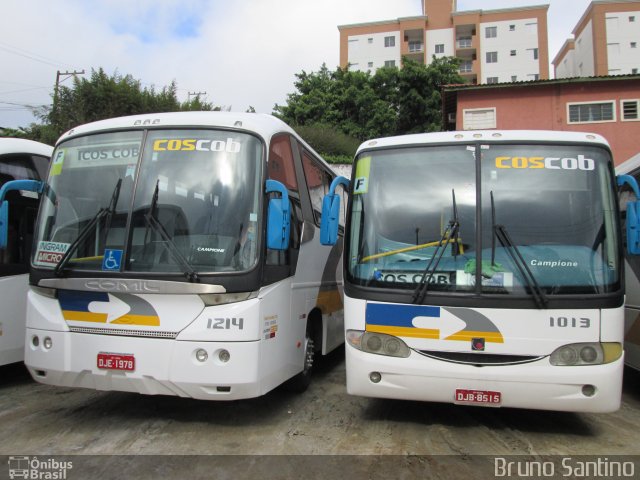 Cos Cob Agência de Viagens e Turismo 1214 na cidade de Cotia, São Paulo, Brasil, por Bruno Santino. Número da foto: #2098840.