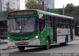 Viação Santa Brígida 1 1238 na cidade de São Paulo, São Paulo, Brasil, por Cristiano Soares da Silva. Número da foto: #2098822.