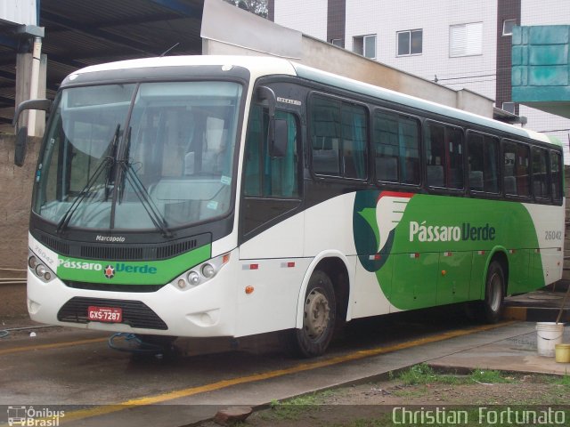 Pássaro Verde 26042 na cidade de Viçosa, Minas Gerais, Brasil, por Christian  Fortunato. ID da foto: 2100067.